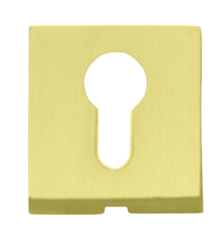 ROSETA SEGURIDAD 50Q PVD